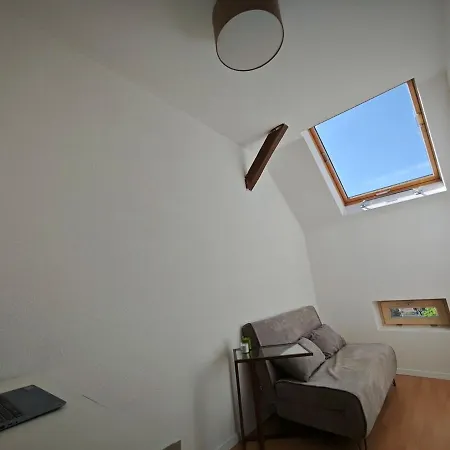 Zentrale 3 Mit Altbau Charme Und Loggia Magdeburg