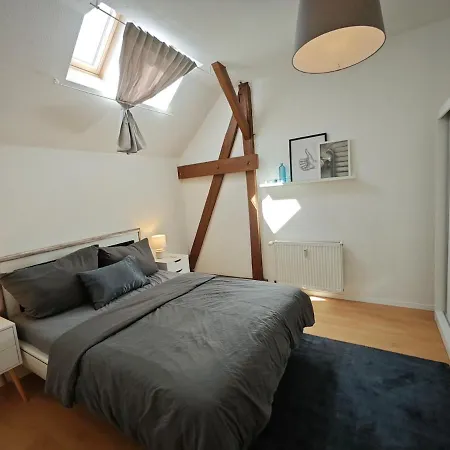 Zentrale 3 Mit Altbau Charme Und Loggia Апартаменты Магдебург